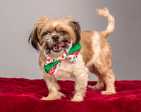 Foster Toffee-4603