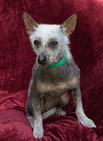 Foster Jillian-8660