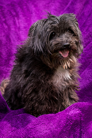 Foster Sammy-8373