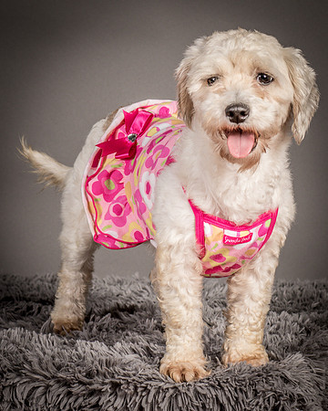 Foster Everly-2231