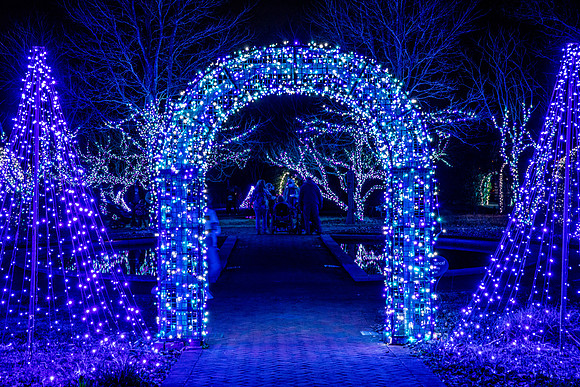 Christmas-2884