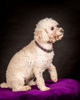 Foster Mae-8975