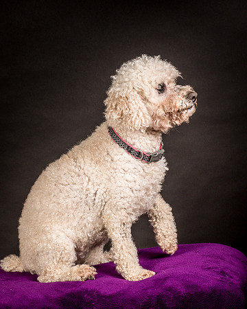 Foster Mae-8975