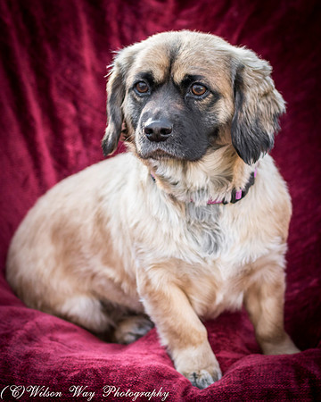 Foster Trudy-53