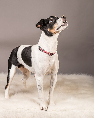 Foster Pollyanna-3932