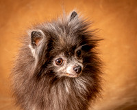 Foster Loretta-1262