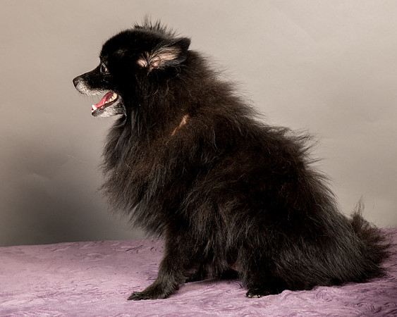 Foster Wayne-8262