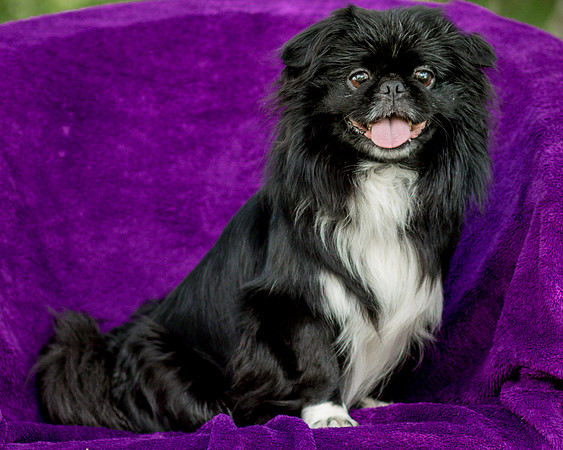 Foster Prince-0771