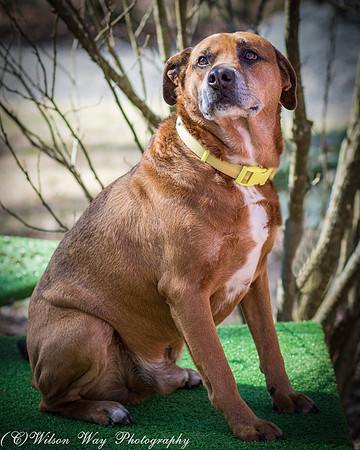 Foster Harry-4635