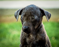 Foster Rigley-0069