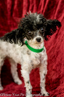 Foster Lillian-2955