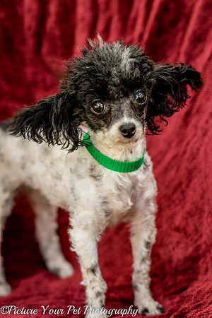 Foster Lillian-2955