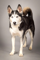 Bella-2455