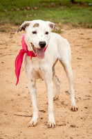 Carley-1122