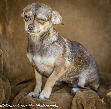 Foster Tango-6442