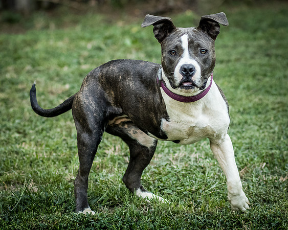 Foster Maya-0190