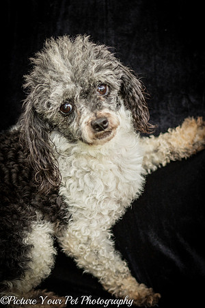 Foster Punky Brewster-3177