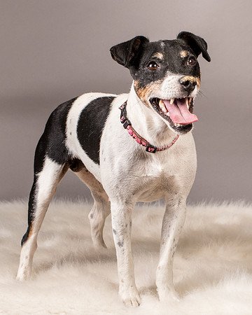 Foster Pollyanna-3942