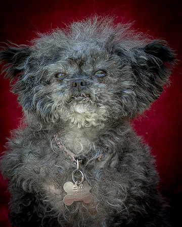 Foster Vivienne-9276