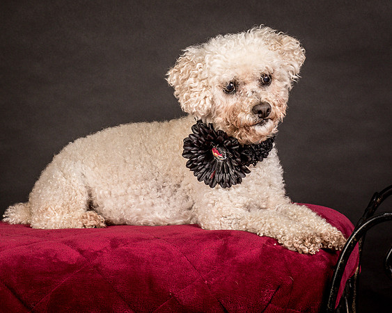 Foster Mae-9103