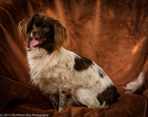 Foster Cerise-2287