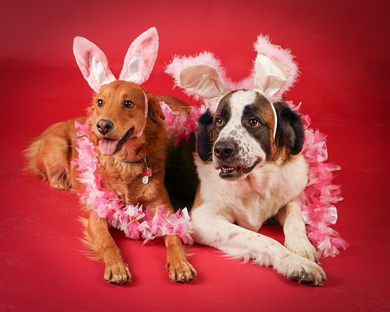 Ollie and Heidi-8331