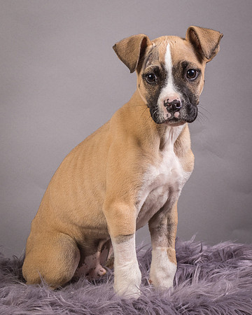Foster Barnabas-4486