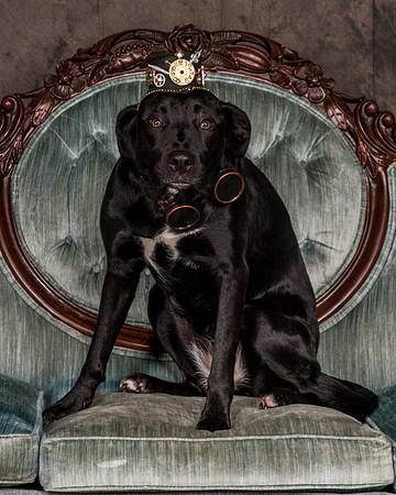 Butler-2835