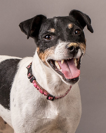 Foster Pollyanna-3950
