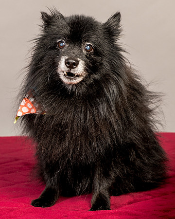 Foster Wayne-7838