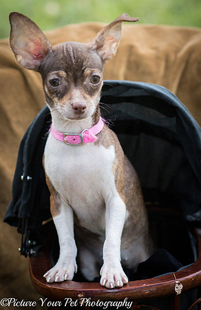 Foster Joanie-3774