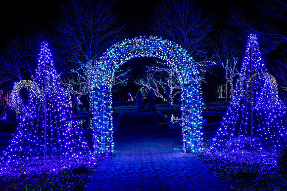 Christmas-2879