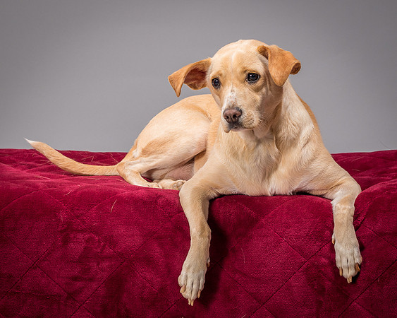 Foster June-3510