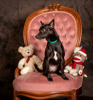 Foster Elvira-0182