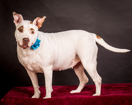 Foster Joanie-0464