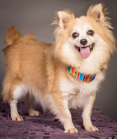 Foster Lilly-3246