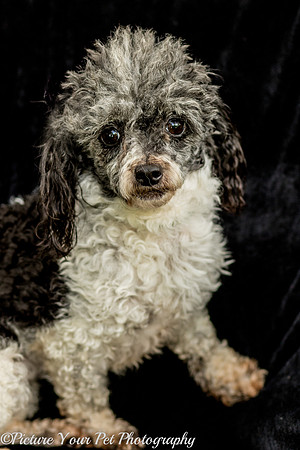 Foster Punky Brewster-3190