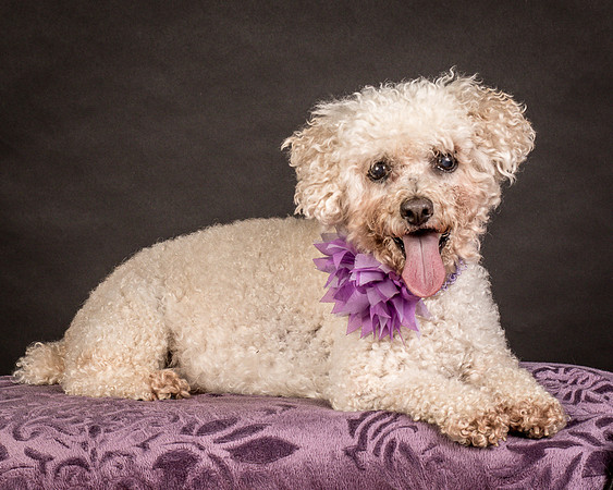 Foster Mae-9215
