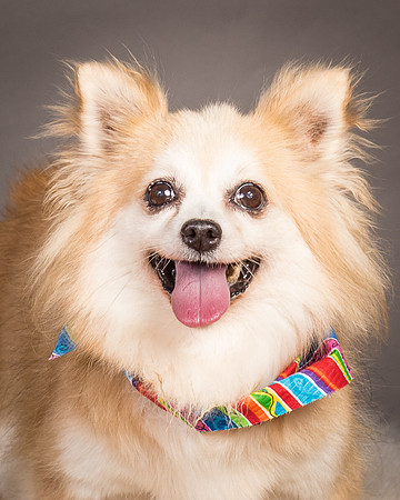 Foster Lilly-3397