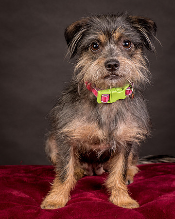 Foster Nadine-9622