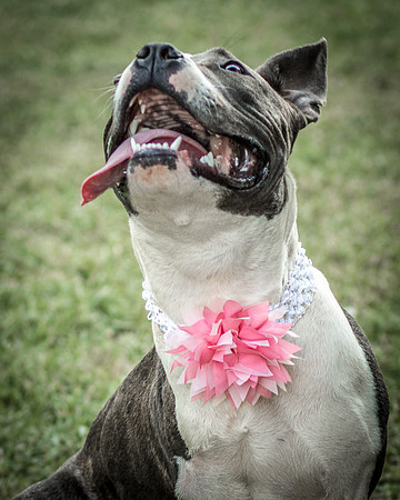 Foster Maya-0323