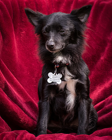 Foster Julio-8475