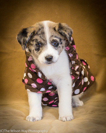 Foster Mira Jane-0290