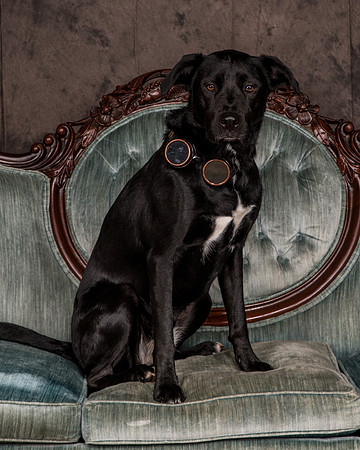 Butler-2848