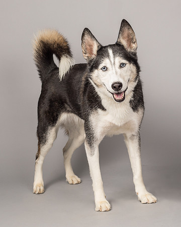Bella-2487