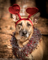 Foster Rita-2443