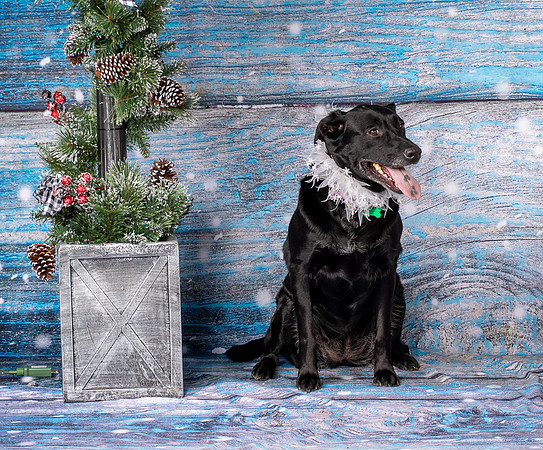 Foster Beatrice-4024
