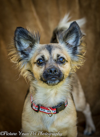 Foster Delphine-6401