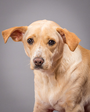 Foster June-3554