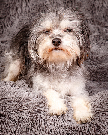 Foster Alex-6233